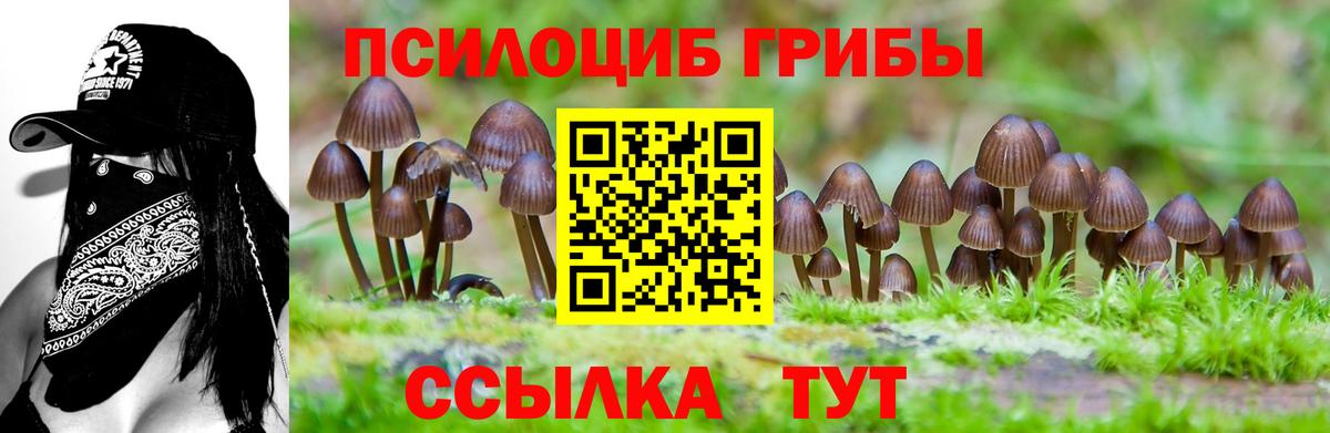 Тулун  Псилоцибиновые грибы мицелий  Вход с VPN 